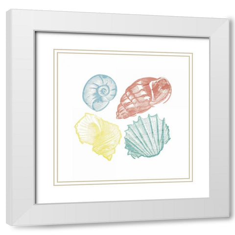 Soft Color Shells Mate White Modern Wood Framed Art Print with Double Matting by Grey, Jace