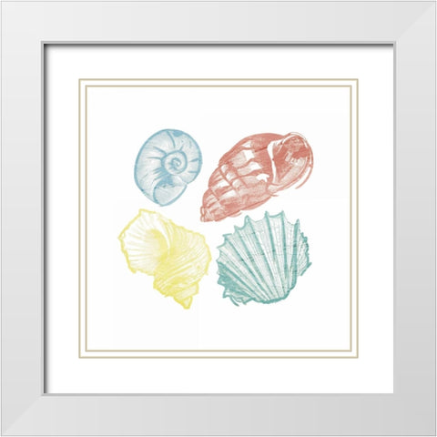 Soft Color Shells Mate White Modern Wood Framed Art Print with Double Matting by Grey, Jace