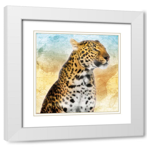 Africa Sunrise One White Modern Wood Framed Art Print with Double Matting by Grey, Jace