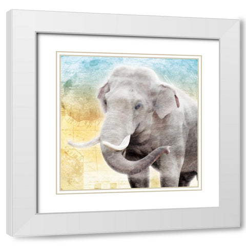 Africa Sunrise Four White Modern Wood Framed Art Print with Double Matting by Grey, Jace