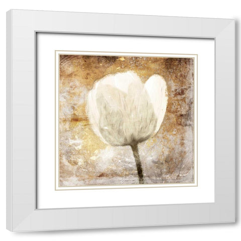 Golden White Greige Mate White Modern Wood Framed Art Print with Double Matting by Grey, Jace