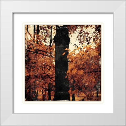 Fall Forest White Modern Wood Framed Art Print with Double Matting by Grey, Jace