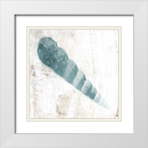 Blue Shell White Modern Wood Framed Art Print with Double Matting by Grey, Jace