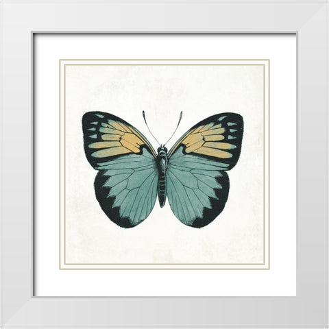 Neutral Butterfly 3 White Modern Wood Framed Art Print with Double Matting by Grey, Jace