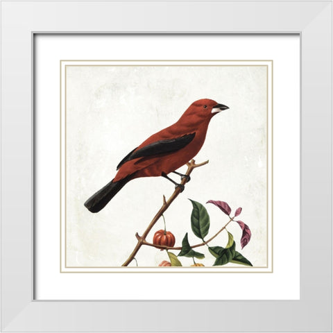 Lovely Birds White Modern Wood Framed Art Print with Double Matting by Grey, Jace