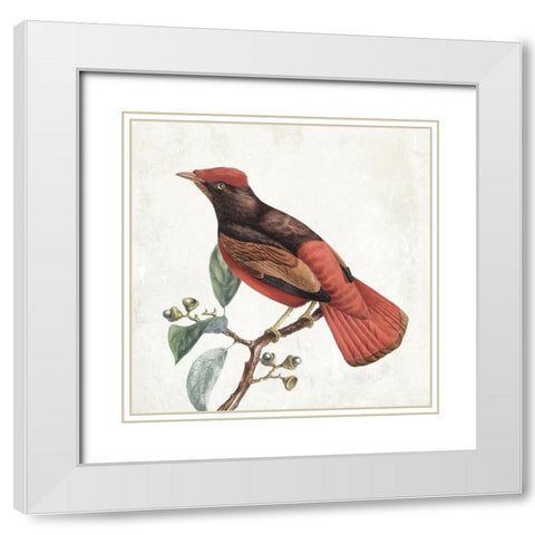 Lovely Birds 3 White Modern Wood Framed Art Print with Double Matting by Grey, Jace
