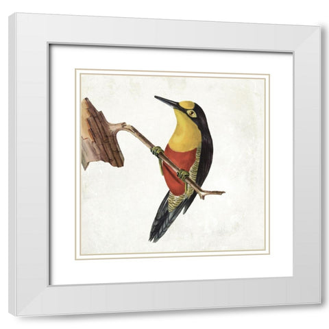 Lovely Birds 4 White Modern Wood Framed Art Print with Double Matting by Grey, Jace