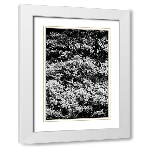 Beach Foliage 6 White Modern Wood Framed Art Print with Double Matting by Grey, Jace