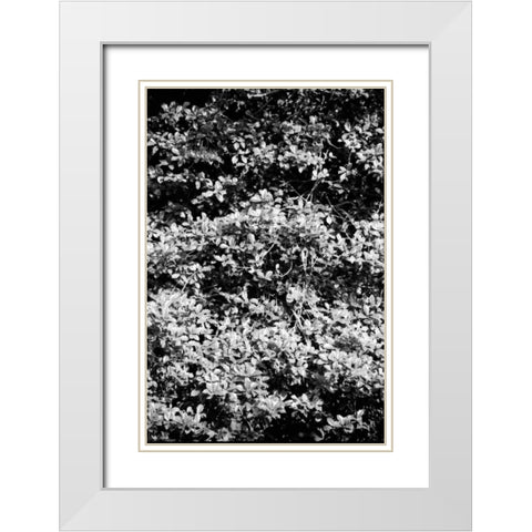 Beach Foliage 6 White Modern Wood Framed Art Print with Double Matting by Grey, Jace
