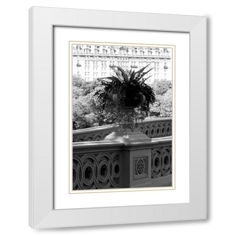 Central Park Bridge 5 White Modern Wood Framed Art Print with Double Matting by Grey, Jace