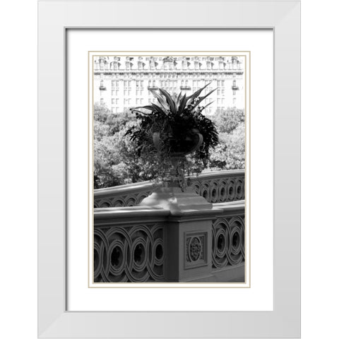 Central Park Bridge 5 White Modern Wood Framed Art Print with Double Matting by Grey, Jace