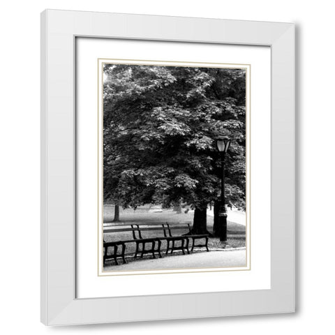 Central Park Benches White Modern Wood Framed Art Print with Double Matting by Grey, Jace