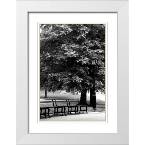 Central Park Benches White Modern Wood Framed Art Print with Double Matting by Grey, Jace