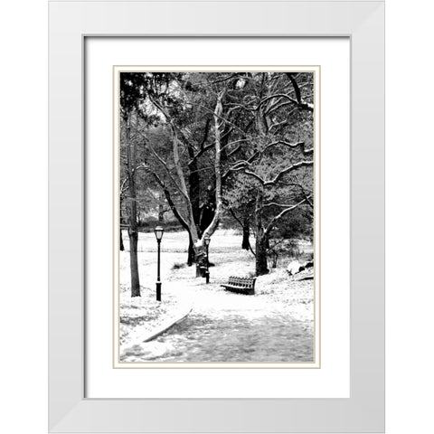 Central Park Snowy Scene White Modern Wood Framed Art Print with Double Matting by Grey, Jace