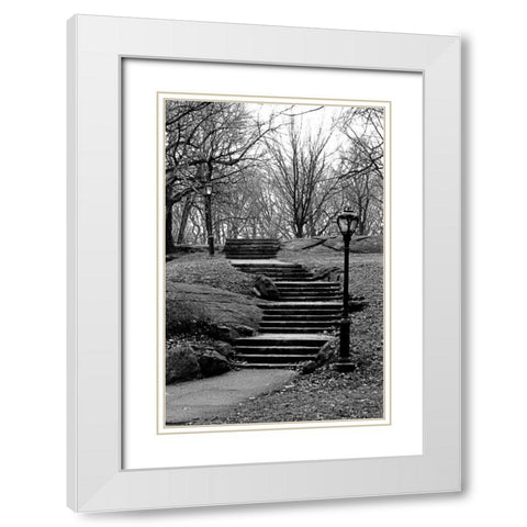 Central Park Stairs To Nowhere White Modern Wood Framed Art Print with Double Matting by Grey, Jace