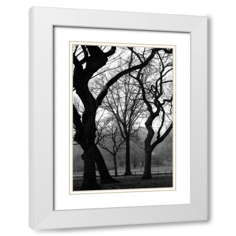 Central Park Dancing Trees White Modern Wood Framed Art Print with Double Matting by Grey, Jace