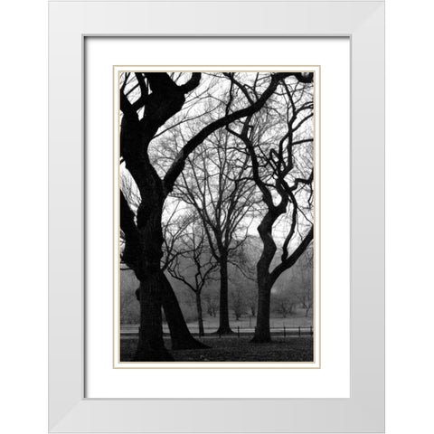 Central Park Dancing Trees White Modern Wood Framed Art Print with Double Matting by Grey, Jace
