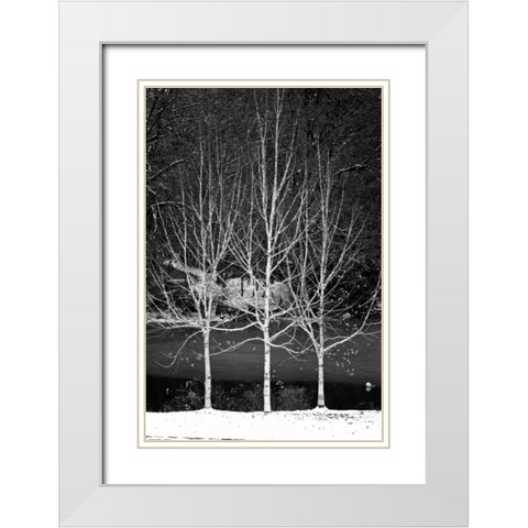 Central Park Three Amigos Winter White Modern Wood Framed Art Print with Double Matting by Grey, Jace