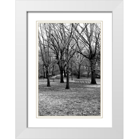 Central Park Image 013 White Modern Wood Framed Art Print with Double Matting by Grey, Jace