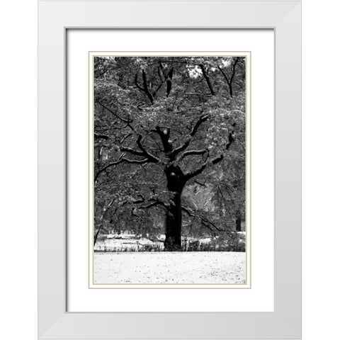 Central Park Solitary Friend White Modern Wood Framed Art Print with Double Matting by Grey, Jace