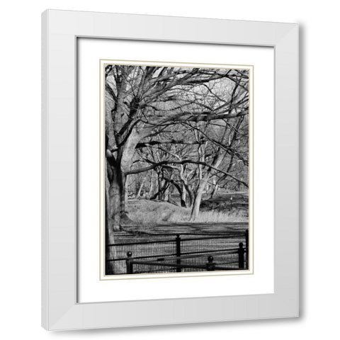 Central Park Image 1745 White Modern Wood Framed Art Print with Double Matting by Grey, Jace