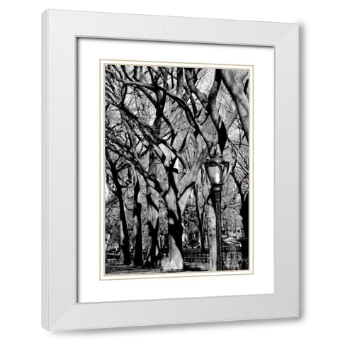Central Park Image 1744 White Modern Wood Framed Art Print with Double Matting by Grey, Jace