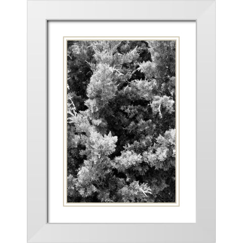 Beach Foliage 3 White Modern Wood Framed Art Print with Double Matting by Grey, Jace