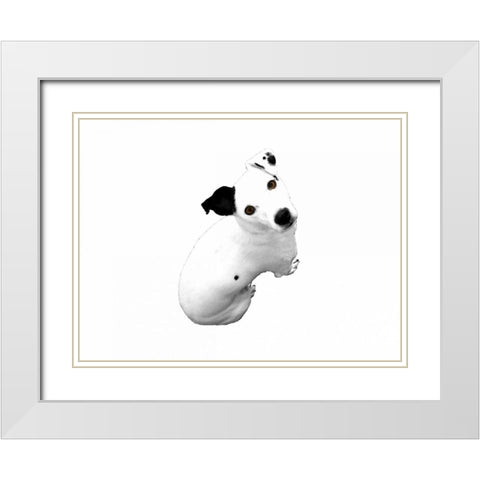 Jack Russell Buddy 1 White Modern Wood Framed Art Print with Double Matting by Grey, Jace