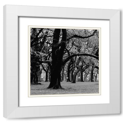 Central Park 2A White Modern Wood Framed Art Print with Double Matting by Grey, Jace