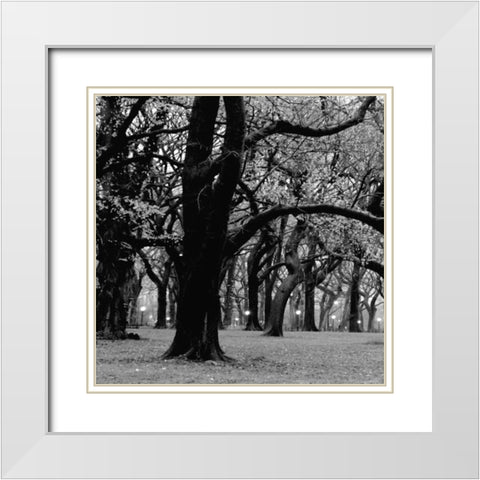 Central Park 2A White Modern Wood Framed Art Print with Double Matting by Grey, Jace