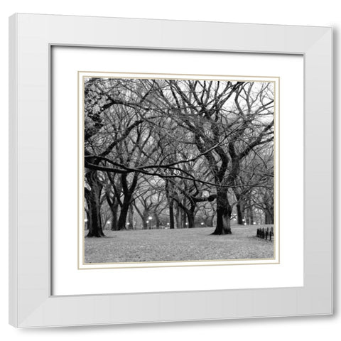 Central Park 2B White Modern Wood Framed Art Print with Double Matting by Grey, Jace