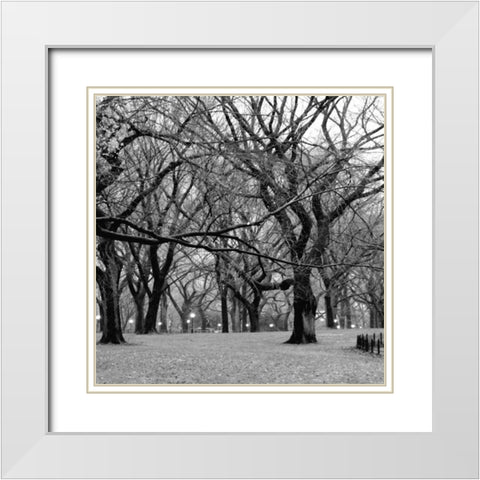Central Park 2B White Modern Wood Framed Art Print with Double Matting by Grey, Jace