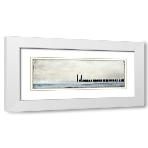 Horizontal Sea Bed White Modern Wood Framed Art Print with Double Matting by Allen, Kimberly