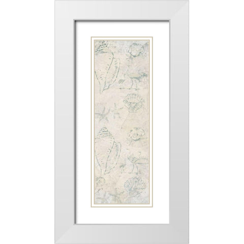 Coastal Shells White Modern Wood Framed Art Print with Double Matting by Allen, Kimberly