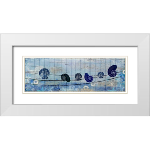 Coastal Shells White Modern Wood Framed Art Print with Double Matting by Allen, Kimberly