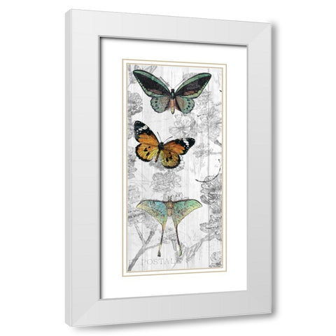 Butterflies Are Free 1 White Modern Wood Framed Art Print with Double Matting by Allen, Kimberly