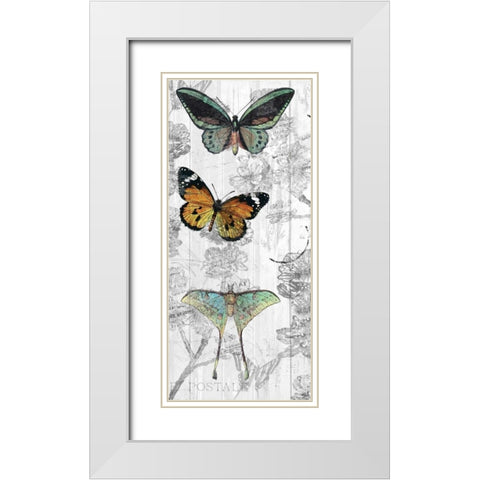 Butterflies Are Free 1 White Modern Wood Framed Art Print with Double Matting by Allen, Kimberly