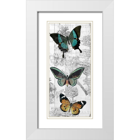 Butterflies Are Free 2 White Modern Wood Framed Art Print with Double Matting by Allen, Kimberly