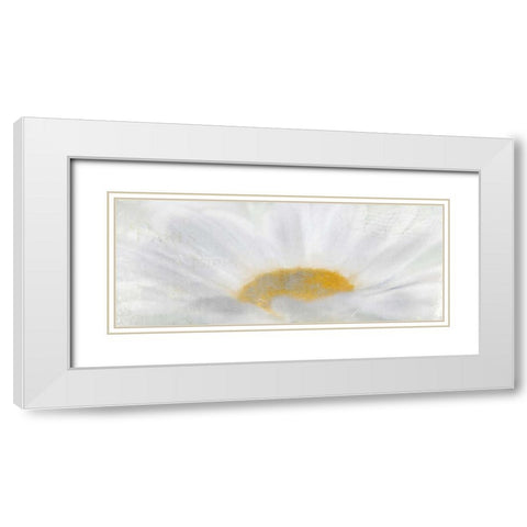From Paris White Modern Wood Framed Art Print with Double Matting by Allen, Kimberly