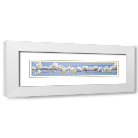 White Blossoms White Modern Wood Framed Art Print with Double Matting by Kimberly, Allen