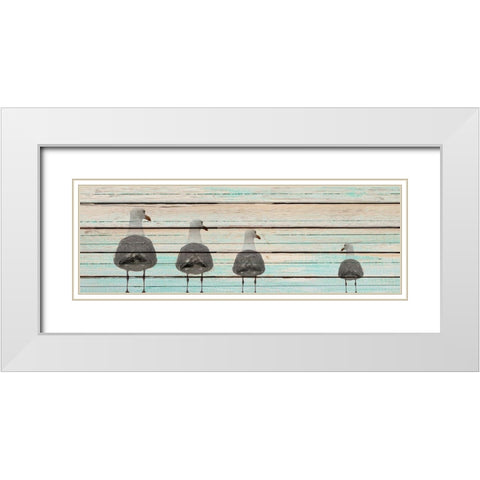 Seagulls White Modern Wood Framed Art Print with Double Matting by Kimberly, Allen