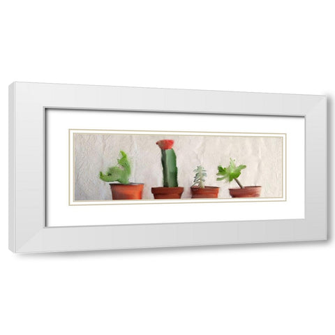 Potted Row White Modern Wood Framed Art Print with Double Matting by Kimberly, Allen