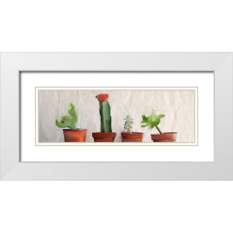 Potted Row White Modern Wood Framed Art Print with Double Matting by Kimberly, Allen