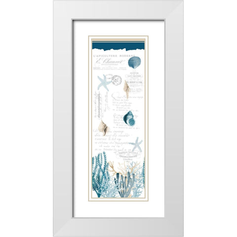 Coral Cove Blue White Modern Wood Framed Art Print with Double Matting by Kimberly, Allen