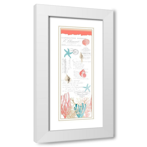 Coral Cove White Modern Wood Framed Art Print with Double Matting by Kimberly, Allen