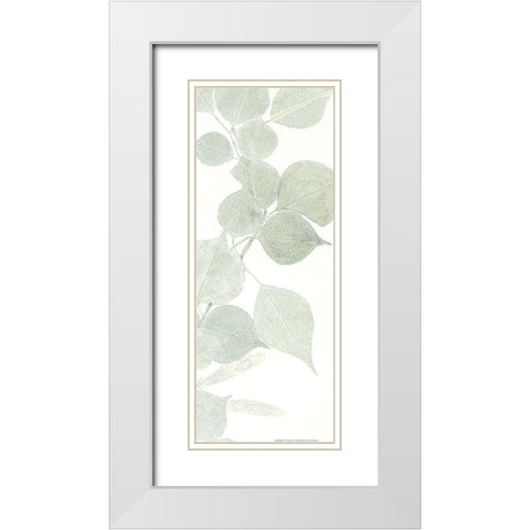 Soft Green 1 White Modern Wood Framed Art Print with Double Matting by Allen, Kimberly
