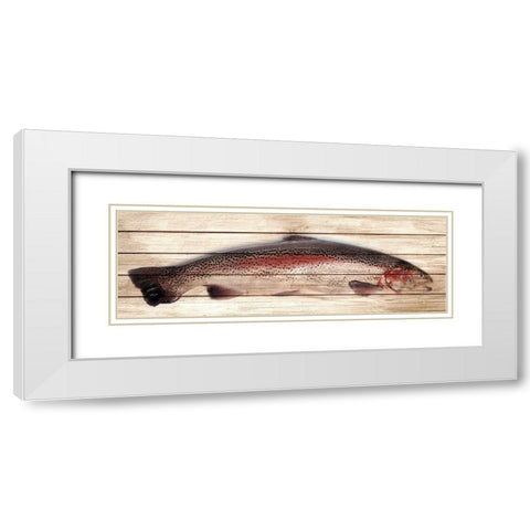 Trout 1 White Modern Wood Framed Art Print with Double Matting by Allen, Kimberly
