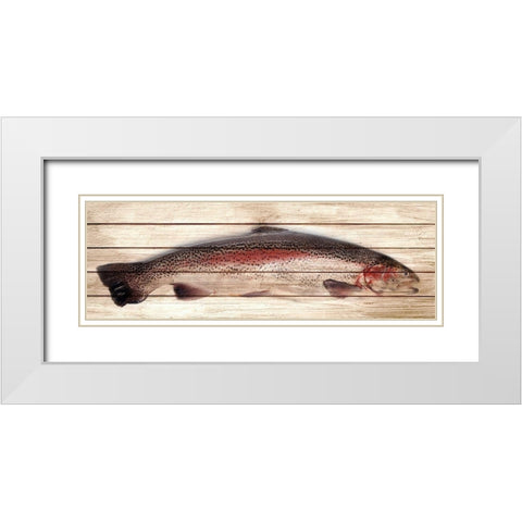 Trout 1 White Modern Wood Framed Art Print with Double Matting by Allen, Kimberly