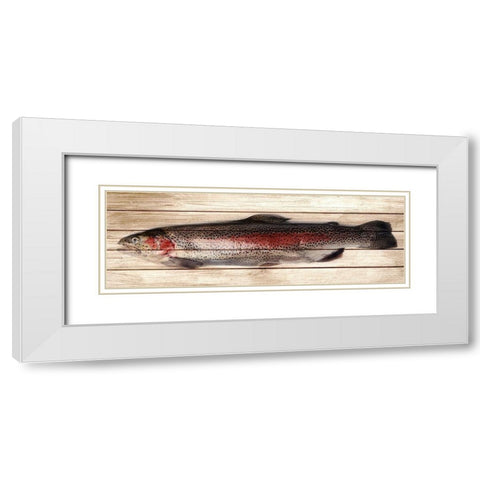 Trout 2 White Modern Wood Framed Art Print with Double Matting by Allen, Kimberly