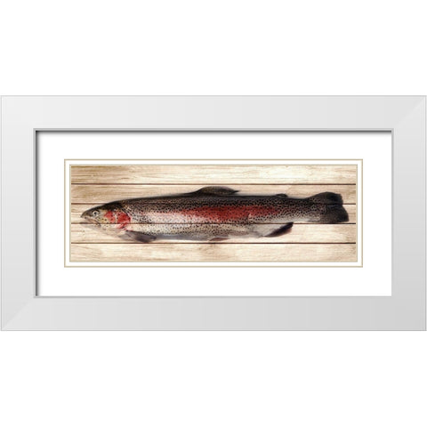 Trout 2 White Modern Wood Framed Art Print with Double Matting by Allen, Kimberly